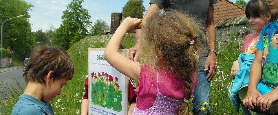 Kinder stellen die Hinweisschilder zu den Blühflächen bei der Blühfläche an der Friedhofsmauer in Creußen auf